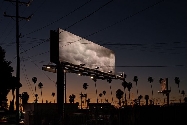 billboard_kerri_tribe