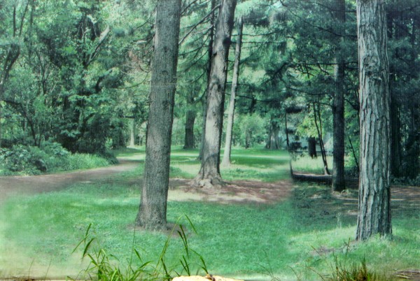 Ester Partegàs You Are Here, 2010 Lightbox, inkjet ultrachrome archival print 50 x 72 in. (lightbox) Courstey of the artist and Foxy Production, New York. Photo by Mark Woods.