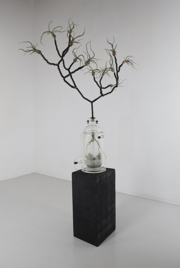 Photo courtesy of Studio Joseph Shaeffer