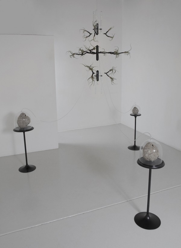 Photo courtesy of Studio Joseph Shaeffer