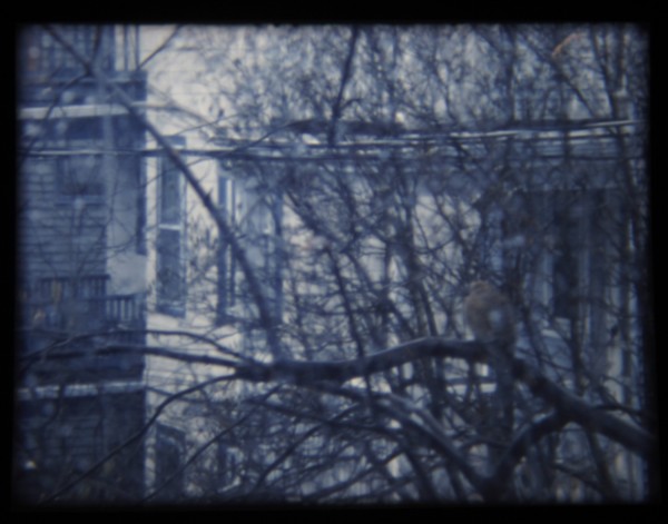 Rebecca Meyers Night Side-- courtesy ICA Boston