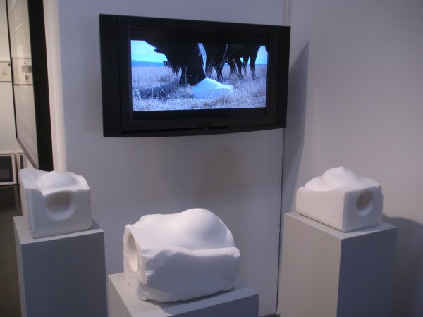 Malia Jensen--	Salty