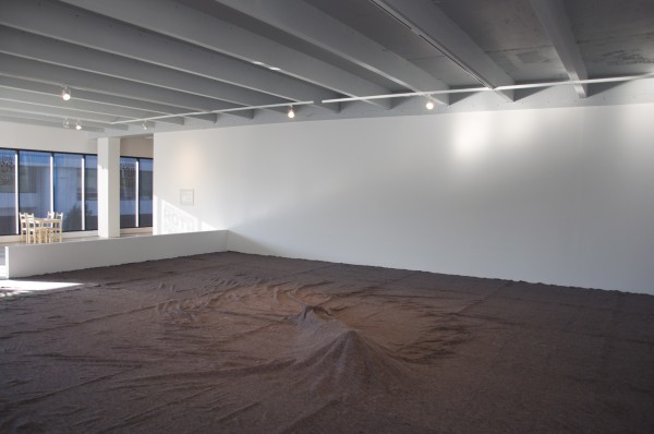 someone under the carpet