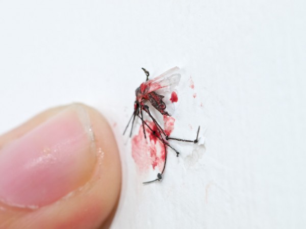 A Dead Mosquito, Artist’s hair & blood, Life size, 2008, Courtesy of artist