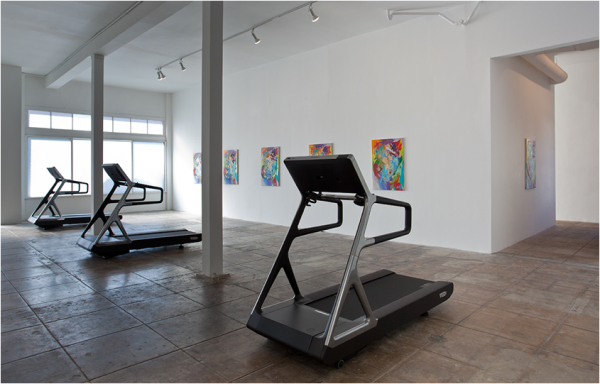 Merlin Carpenter, installation view, 2011, courtesy Overduin & Kite.
