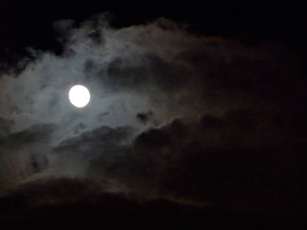 Karen Kilimnik, entre acte photo, 2011.