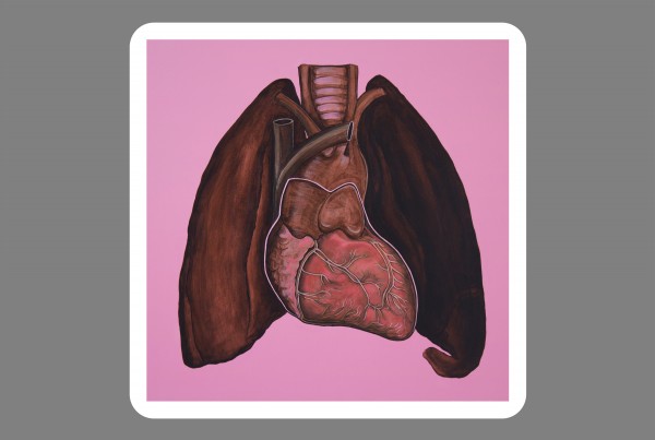 Bibiana Suárez, Pulmones / Lungs, 2005-2011, acrylic paint on aluminum panel, 24 x 24 inches