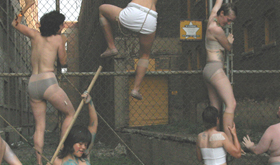 Liz Rosenfeld, Untitled [Dyketactics Revisited], 2005. Video transfer.