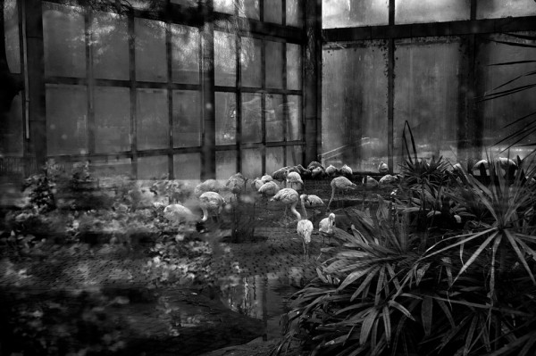 Justin Spiers, 'Enclosure VI', Inkjet print, 2010