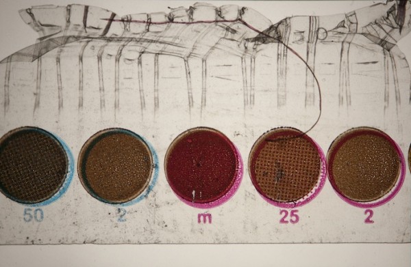 Rey Akdogan, Single slide from Carousel  #5 (2012),  Solo projects by Rey Akdogan, Edgardo Aragón, Ilja Karilampi, and Caitlin Keogh. MoMA PS1, 2012