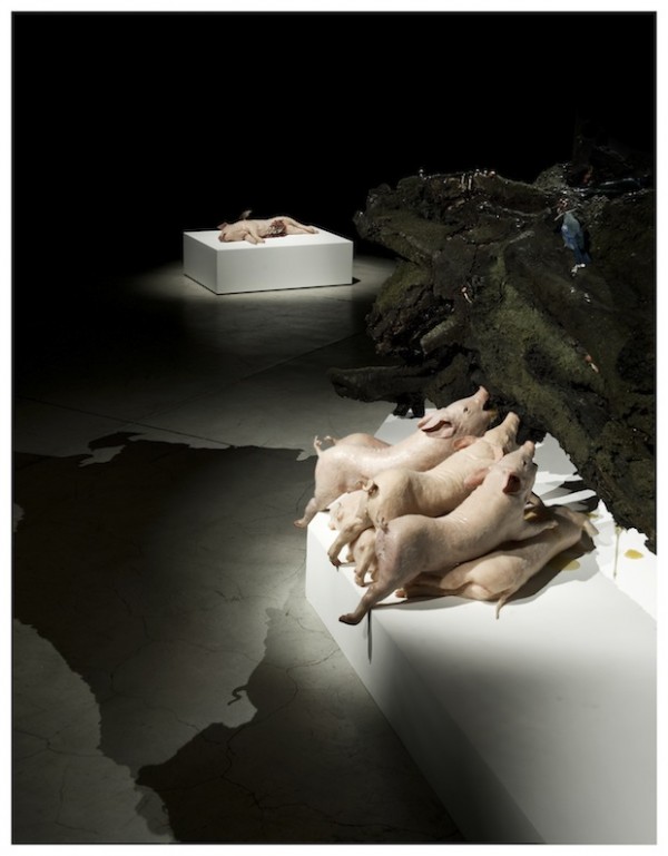 Polly Morgan, Endless Plains, installation view, 2012. Courtesy All Visual Arts. Photography by Tessa Angus.