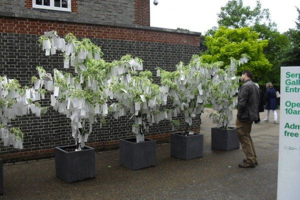 Yoko Ono, Wish Trees 2012, photograph by Rosemary Marchant