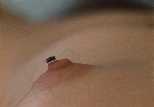 Yoko Ono, Fly (1970), Film Still. Copyright Yoko Ono.