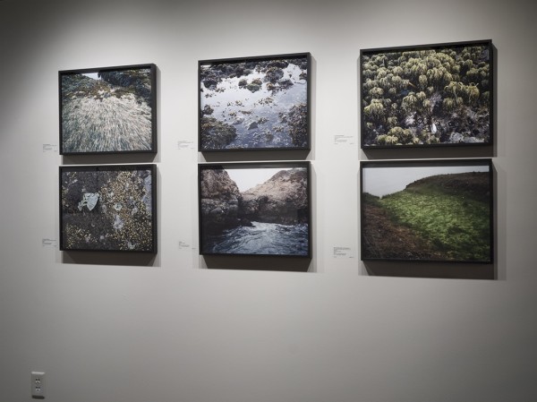 Adam Thorman, works from the series "What Light Remains in the Absence," installation view