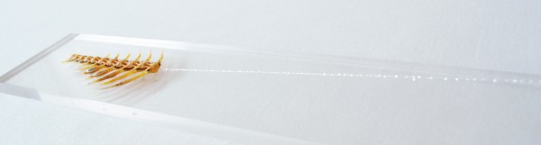 Yukihiro Kaneuchi, "Fork" detail from "Lamia," 2013.