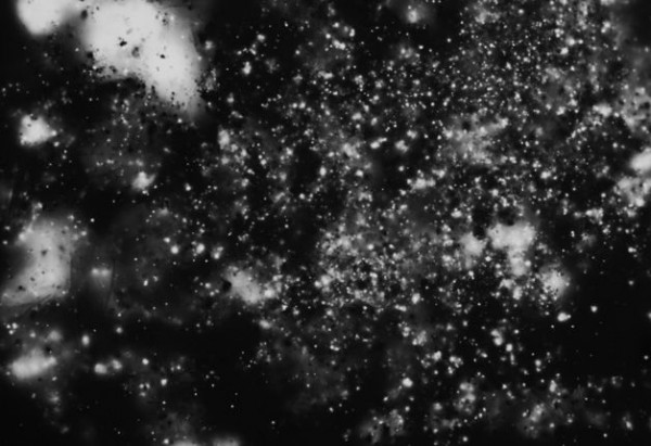 Shimpei Takeda, Trace #7, Nihonmatsu Castle, 2012. Radiated photo paper. Courtesy the artist.