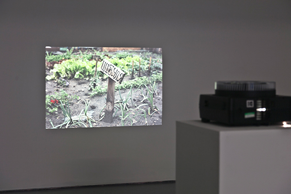 Nikita Kadan. Limits of Responsibility, 2014 (detail); 36 colour slides; dimensions variable. Courtesy of the Artist and Waterside Contemporary, London.