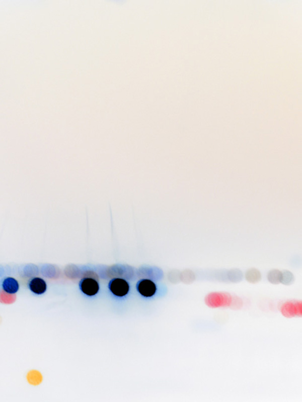 Jason Engelund. Light Lines 51, 2008; photograph; 16 x 20 inches. Courtesy of the artist and Modern Book Gallery.