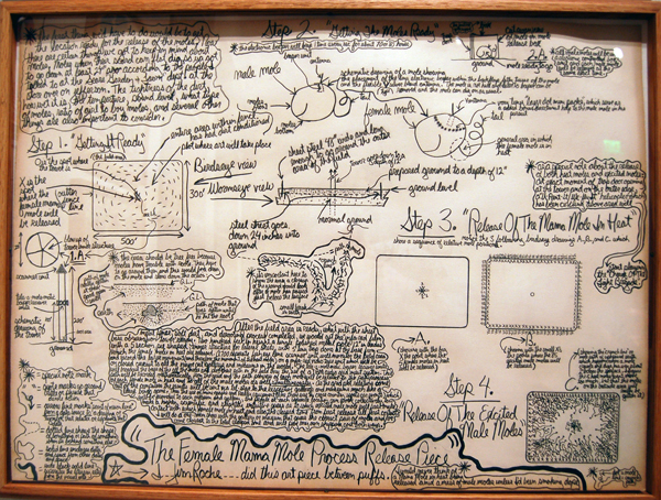 Jim Roche, The Female Mama Mole Process Release Piece, 1973; Graphite on Paper. Courtesy of The Ogden Museum of Southern Art. Photo: Richard McCabe.