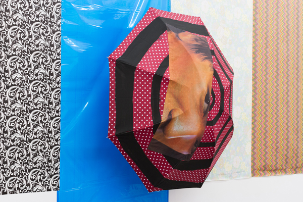 Ron Tran. The Kitchen Garden at Home/Store, 2015; installation view, 221A, Vancouver. Courtesy of the artist and 221A. Photo: Dennis Ha.