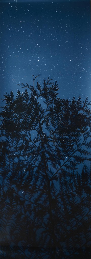 Susan Derges, Star Field Cypress, 2003; Cibachrome print; 66 x 24 inches. Courtesy of Danziger Gallery, New York.