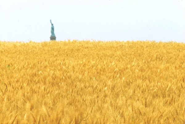 Agnes Denes. Wheatfield - A Confrontation: Battery Park Landfill (view with Statue of Liberty across the Hudson), 1982.