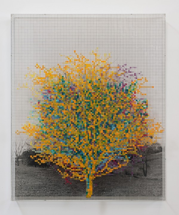 Charles Gaines. Numbers and Trees V. Landscape #8: Orange Crow, 1978; acrylic sheet, acrylic paint, watercolor, photograph. 46 5⁄8 × 38 5⁄8 in. Courtesy the artist and Susanne Vielmetter Los Angeles Projects. Photo: Robert Wedemeyer.